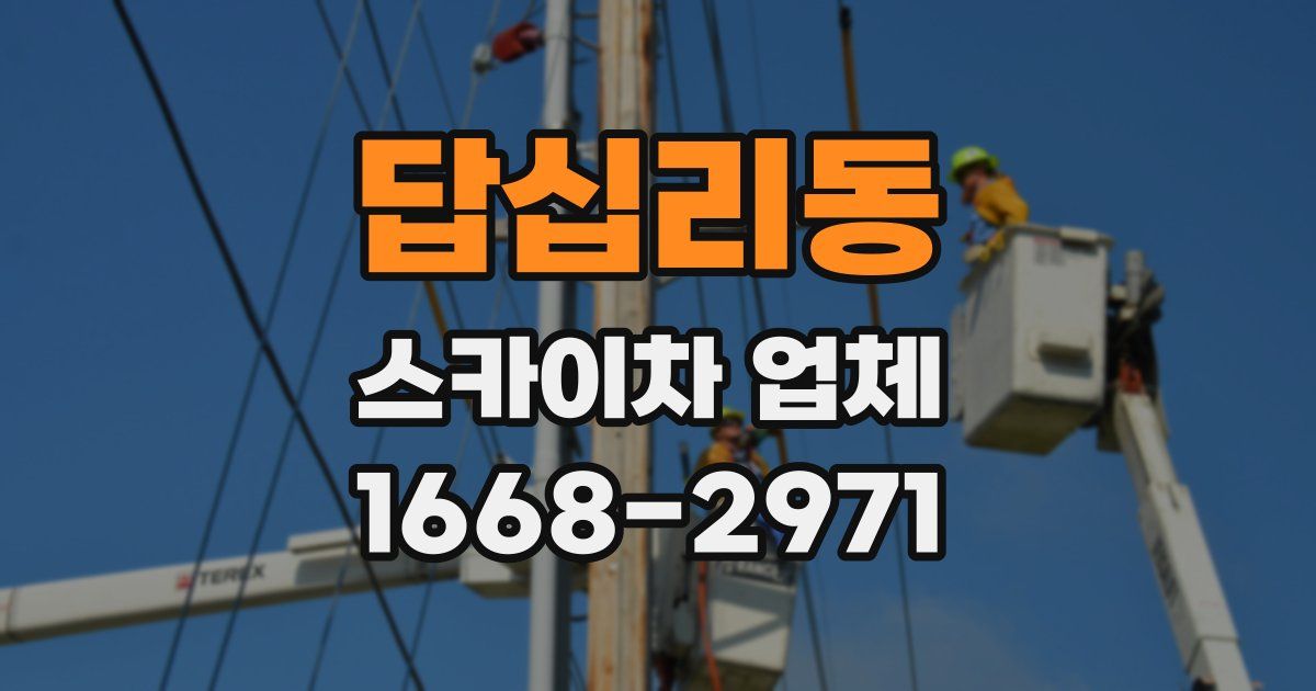 답십리동 스카이차 업체
