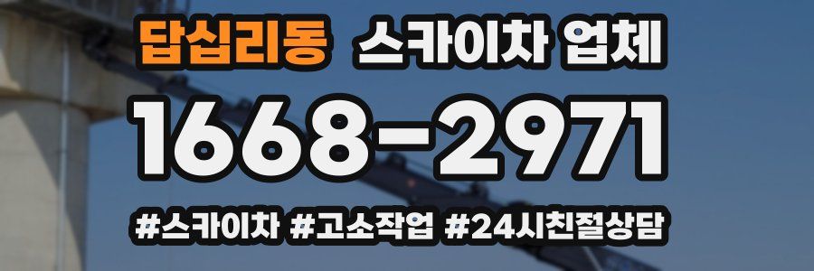 답십리동 스카이차 업체