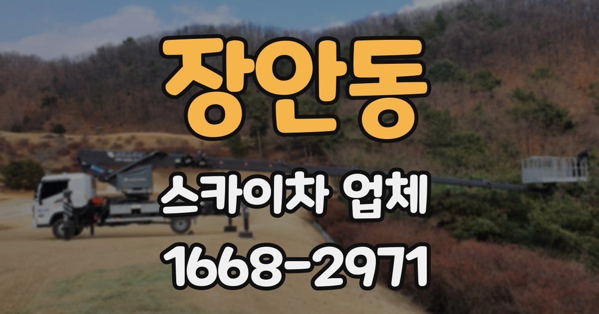 장안동 스카이차 업체