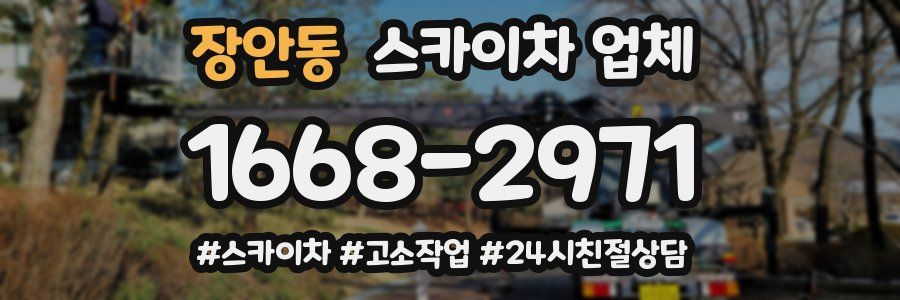 장안동 스카이차 업체