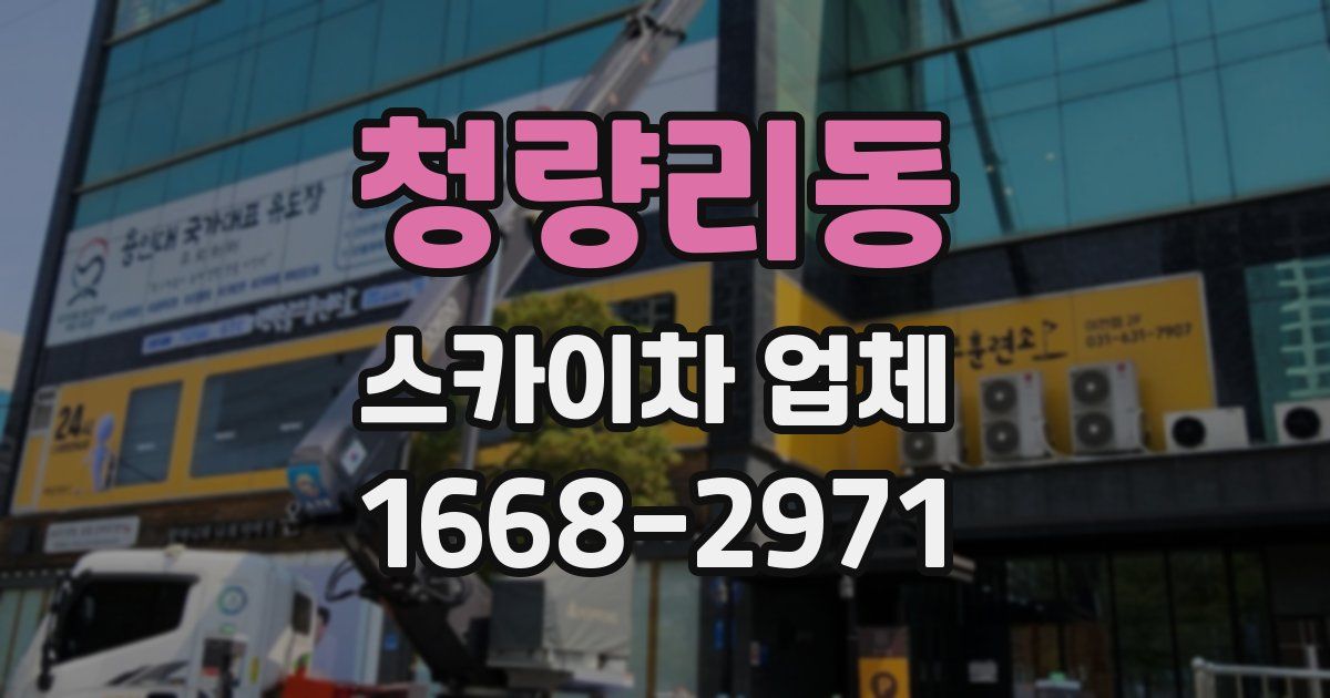 청량리동 스카이차 업체