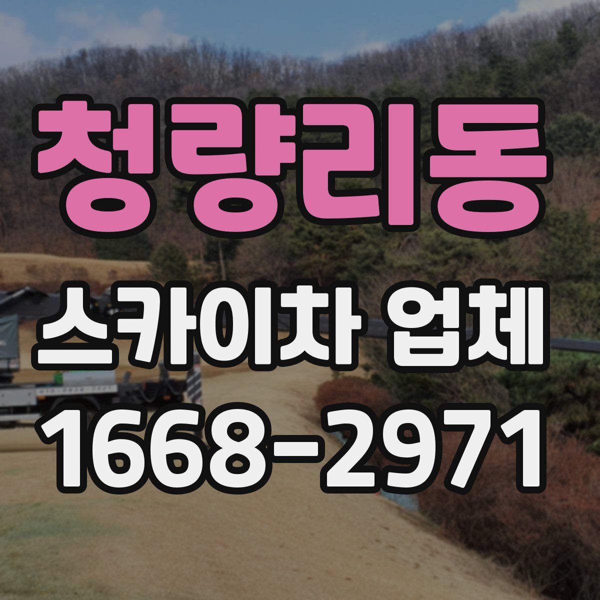 청량리동 스카이차 업체