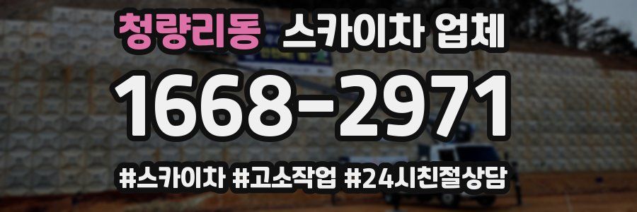 청량리동 스카이차 업체
