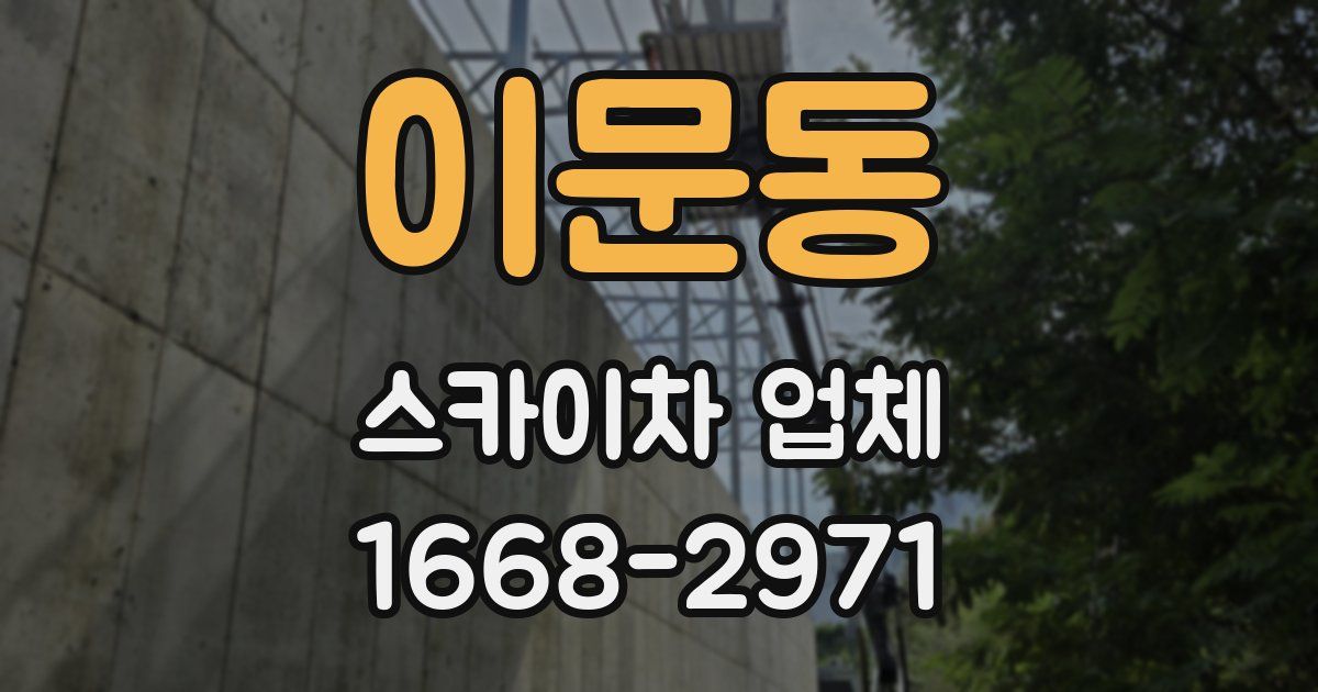 이문동 스카이차 업체