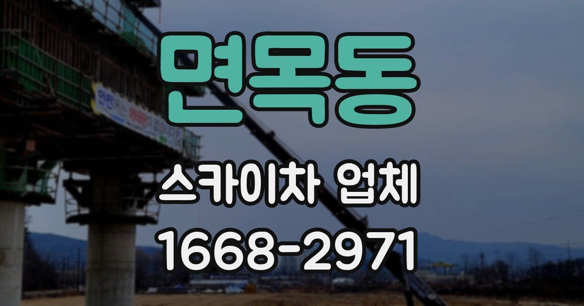면목동 스카이차 업체