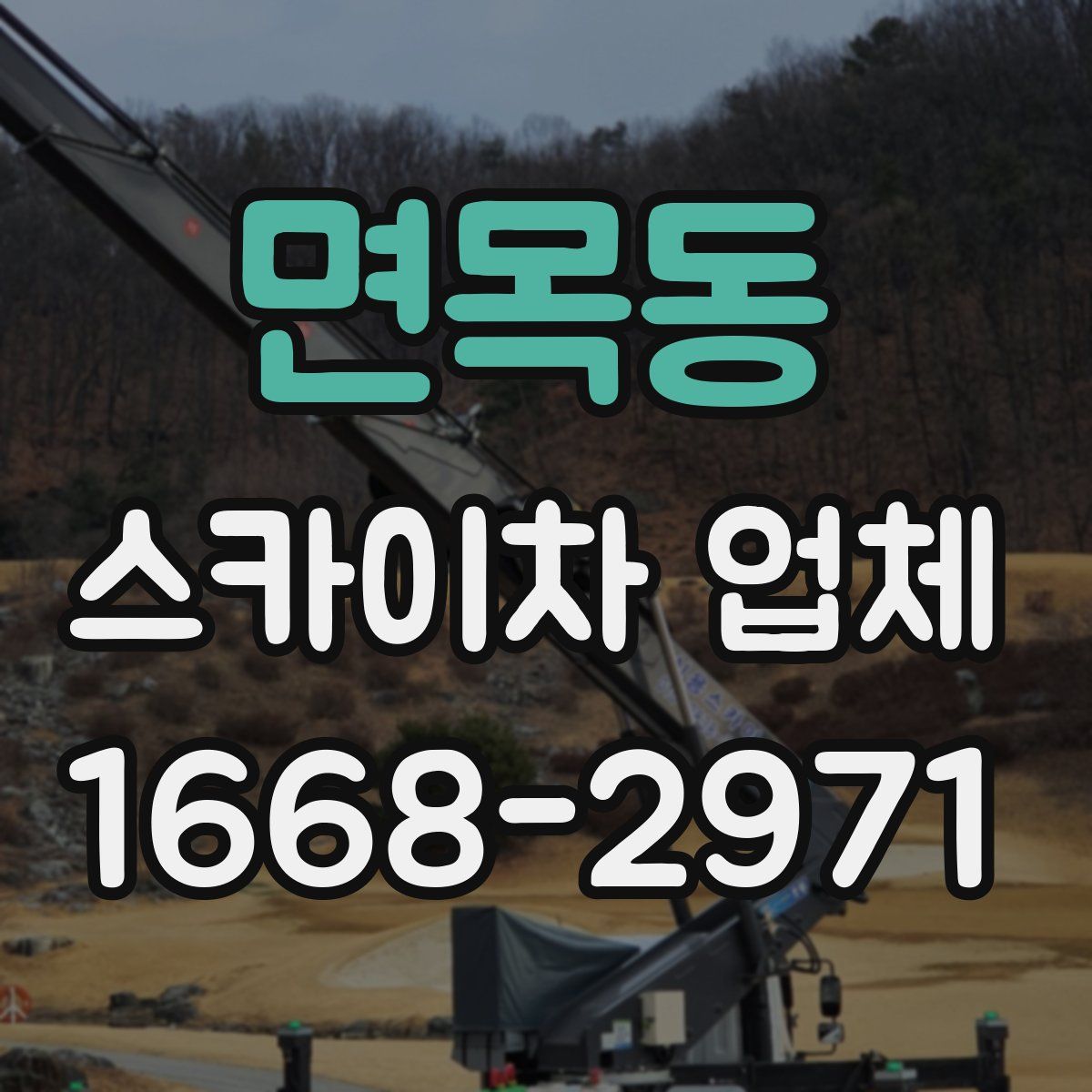 면목동 스카이차 업체
