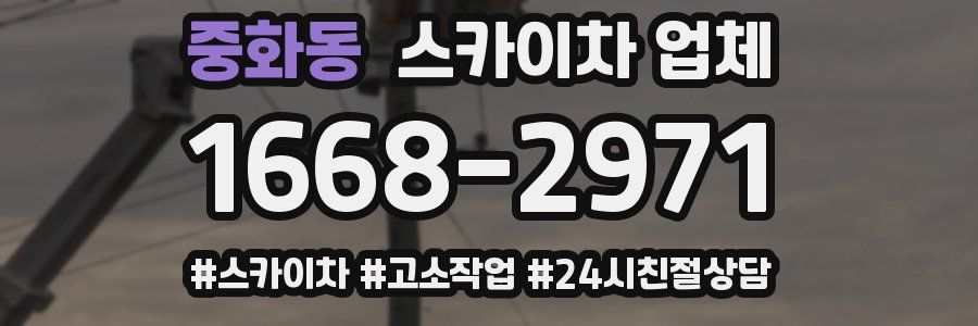 중화동 스카이차 업체