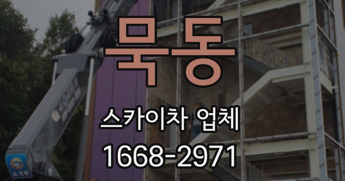 묵동 스카이차 업체
