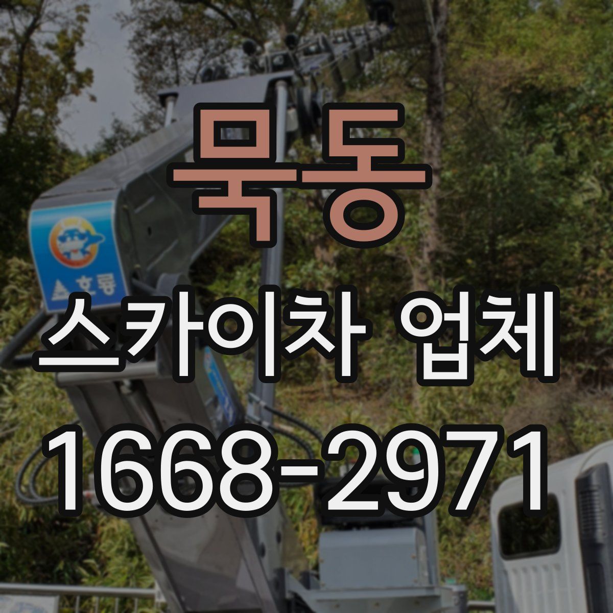 묵동 스카이차 업체