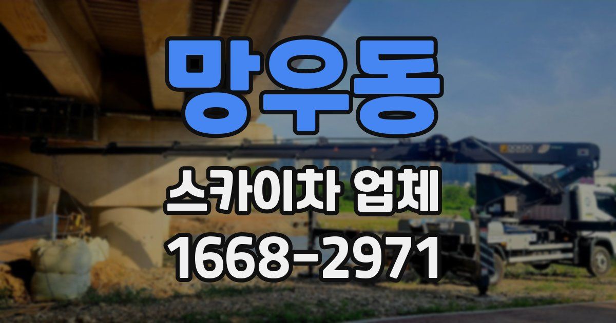 망우동 스카이차 업체