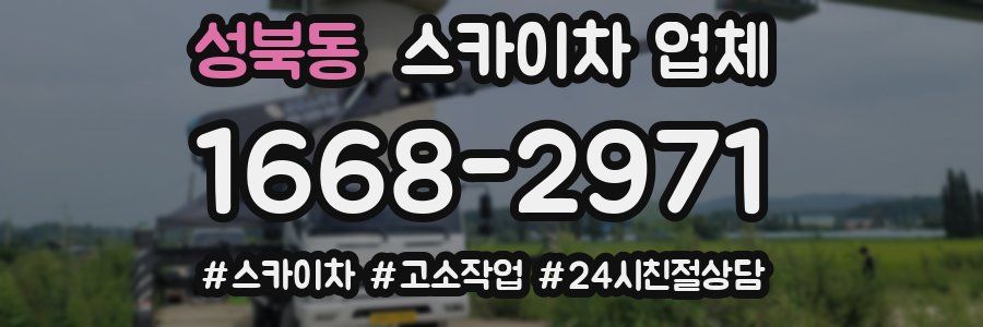 성북동 스카이차 업체
