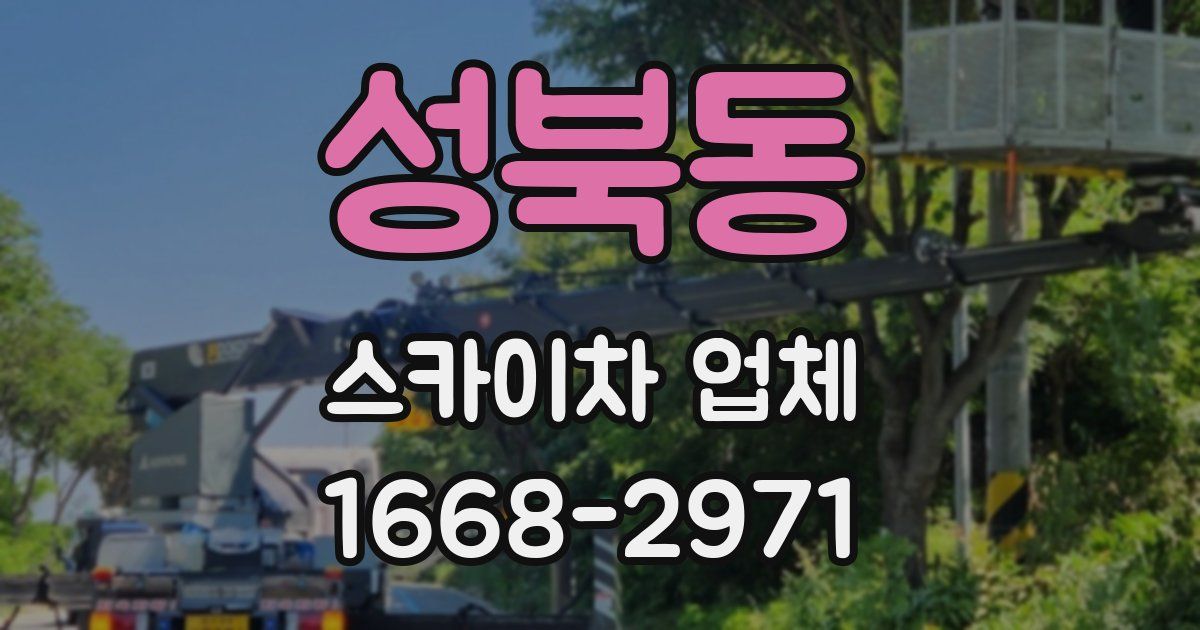성북동 스카이차 업체