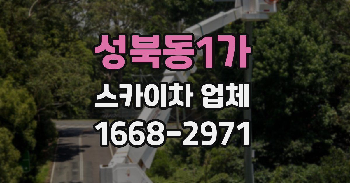 성북동1가 스카이차 업체