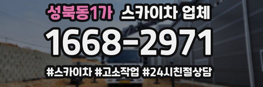 성북동1가 스카이차 업체