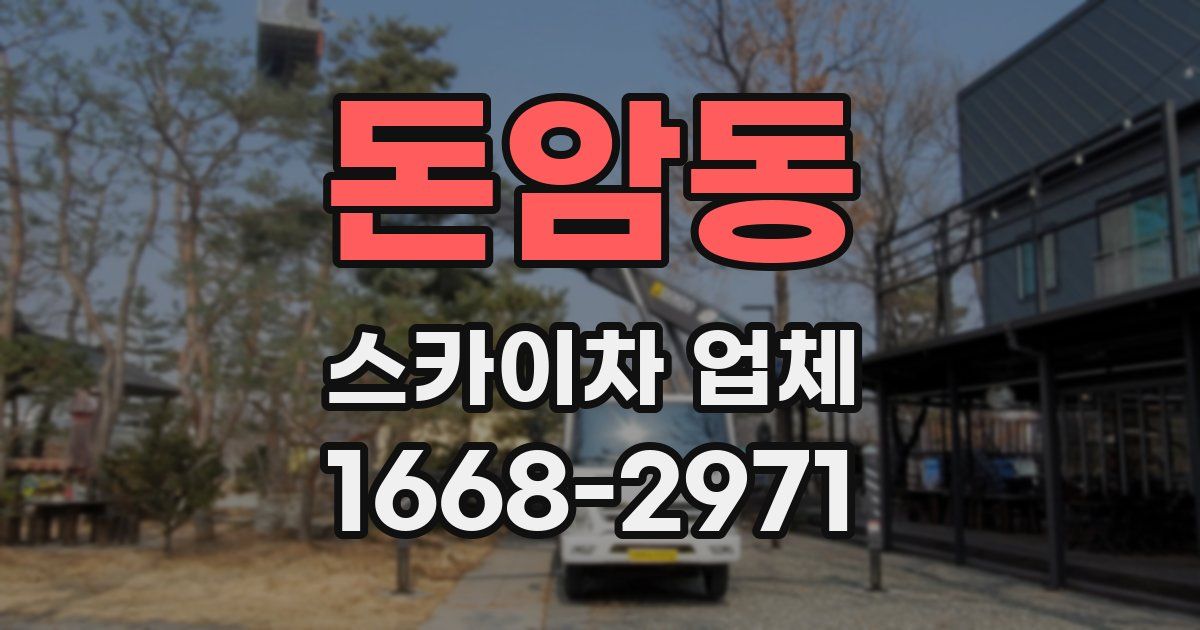 돈암동 스카이차 업체