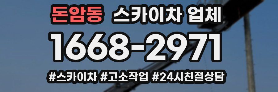 돈암동 스카이차 업체
