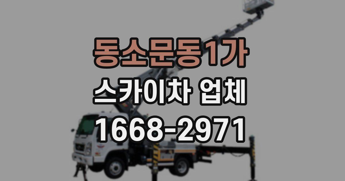동소문동1가 스카이차 업체
