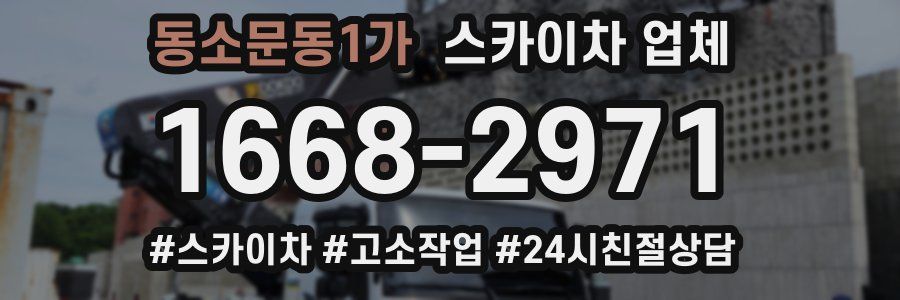 동소문동1가 스카이차 업체