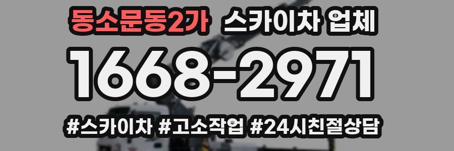 동소문동2가 스카이차 업체