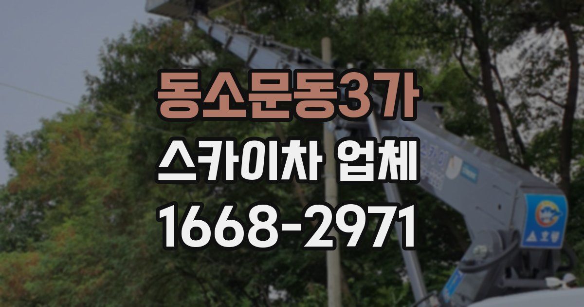 동소문동3가 스카이차 업체