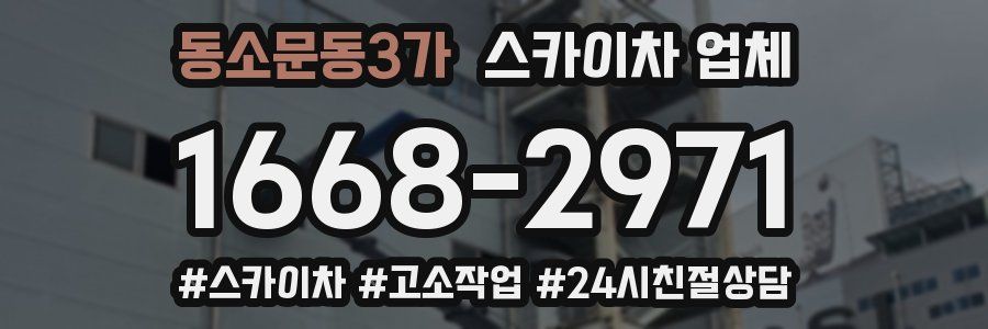 동소문동3가 스카이차 업체
