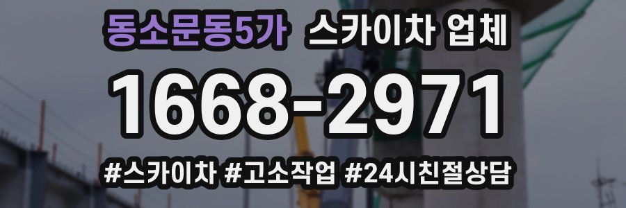 동소문동5가 스카이차 업체