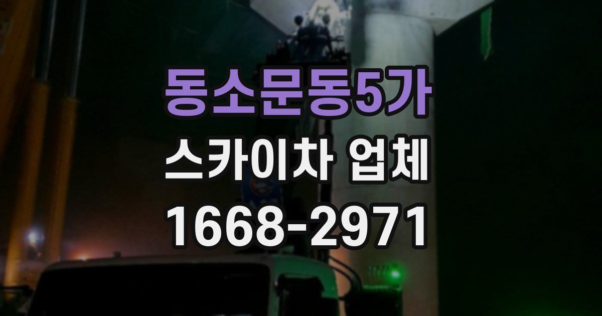 동소문동5가 스카이차 업체