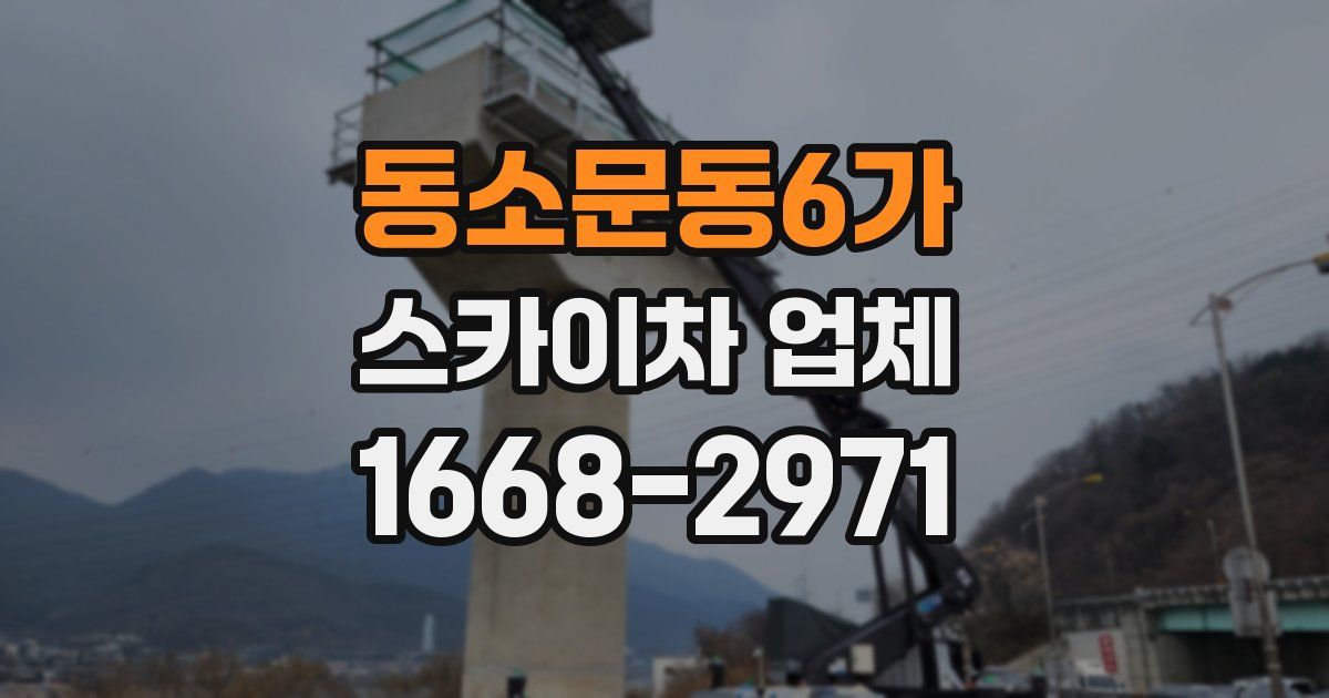 동소문동6가 스카이차 업체