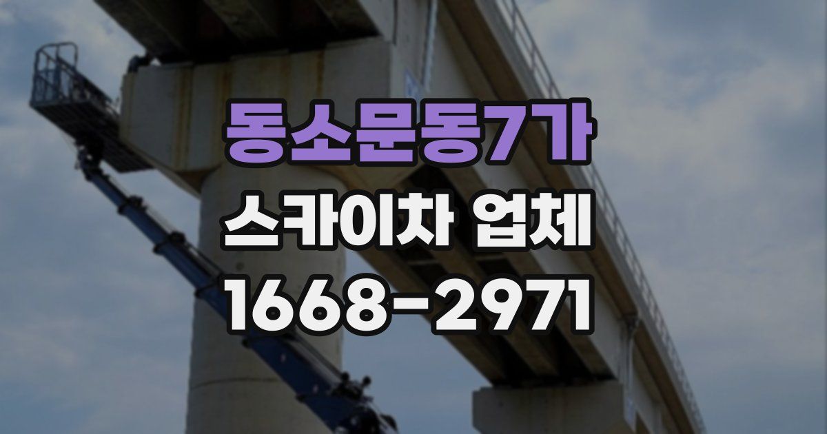 동소문동7가 스카이차 업체