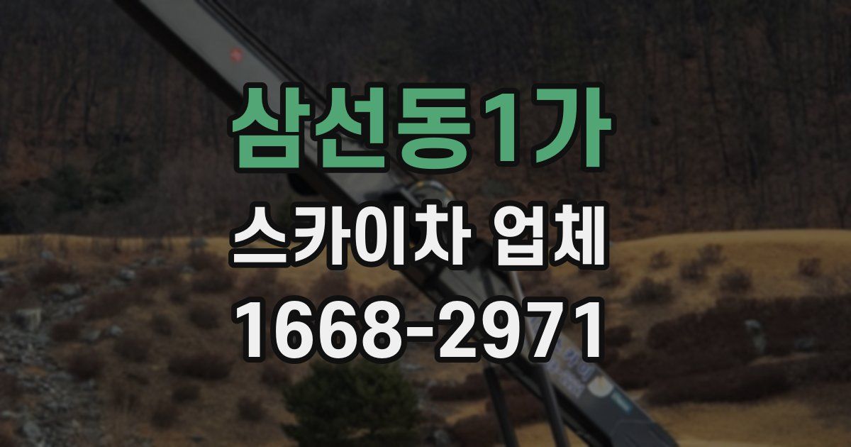 삼선동1가 스카이차 업체