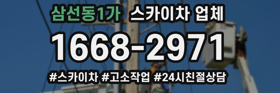 삼선동1가 스카이차 업체