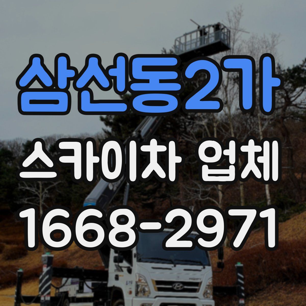 삼선동2가 스카이차 업체