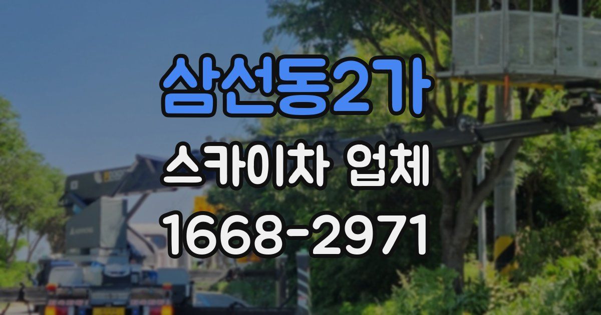 삼선동2가 스카이차 업체