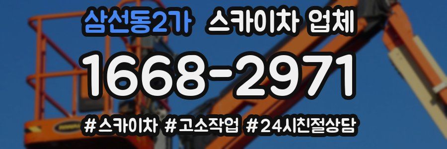 삼선동2가 스카이차 업체