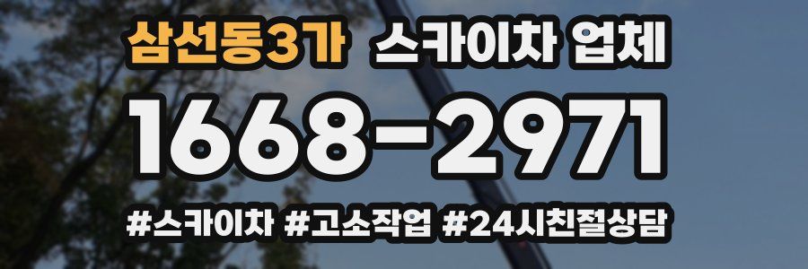 삼선동3가 스카이차 업체