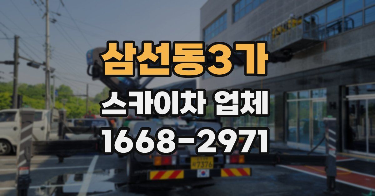삼선동3가 스카이차 업체