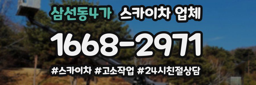 삼선동4가 스카이차 업체