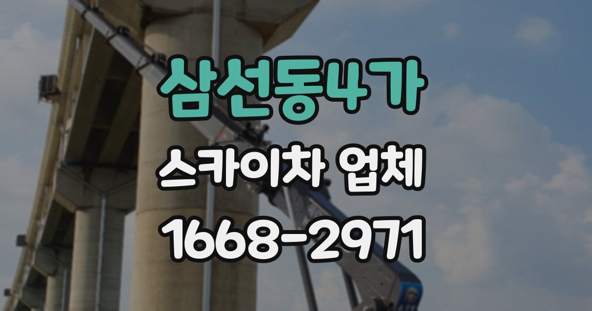 삼선동4가 스카이차 업체
