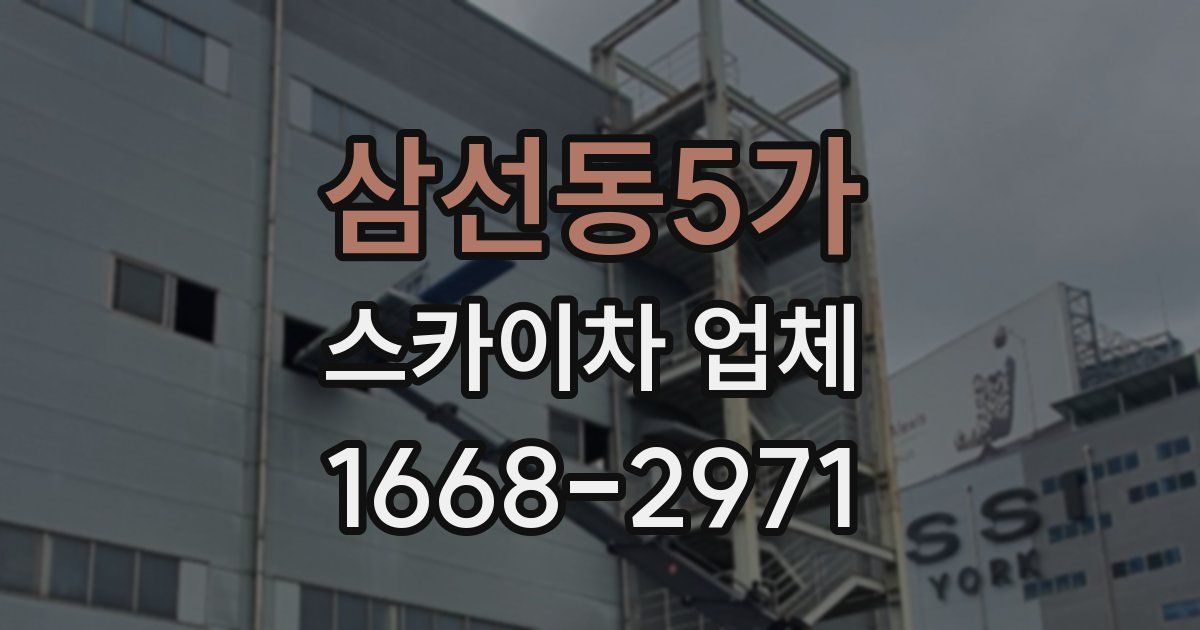 삼선동5가 스카이차 업체