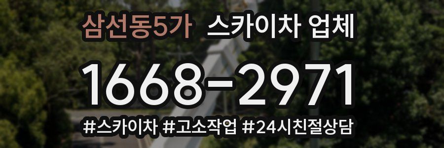 삼선동5가 스카이차 업체