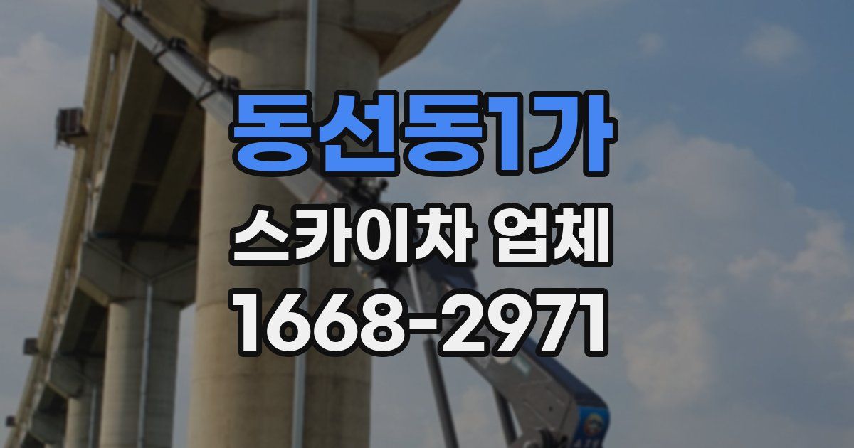 동선동1가 스카이차 업체