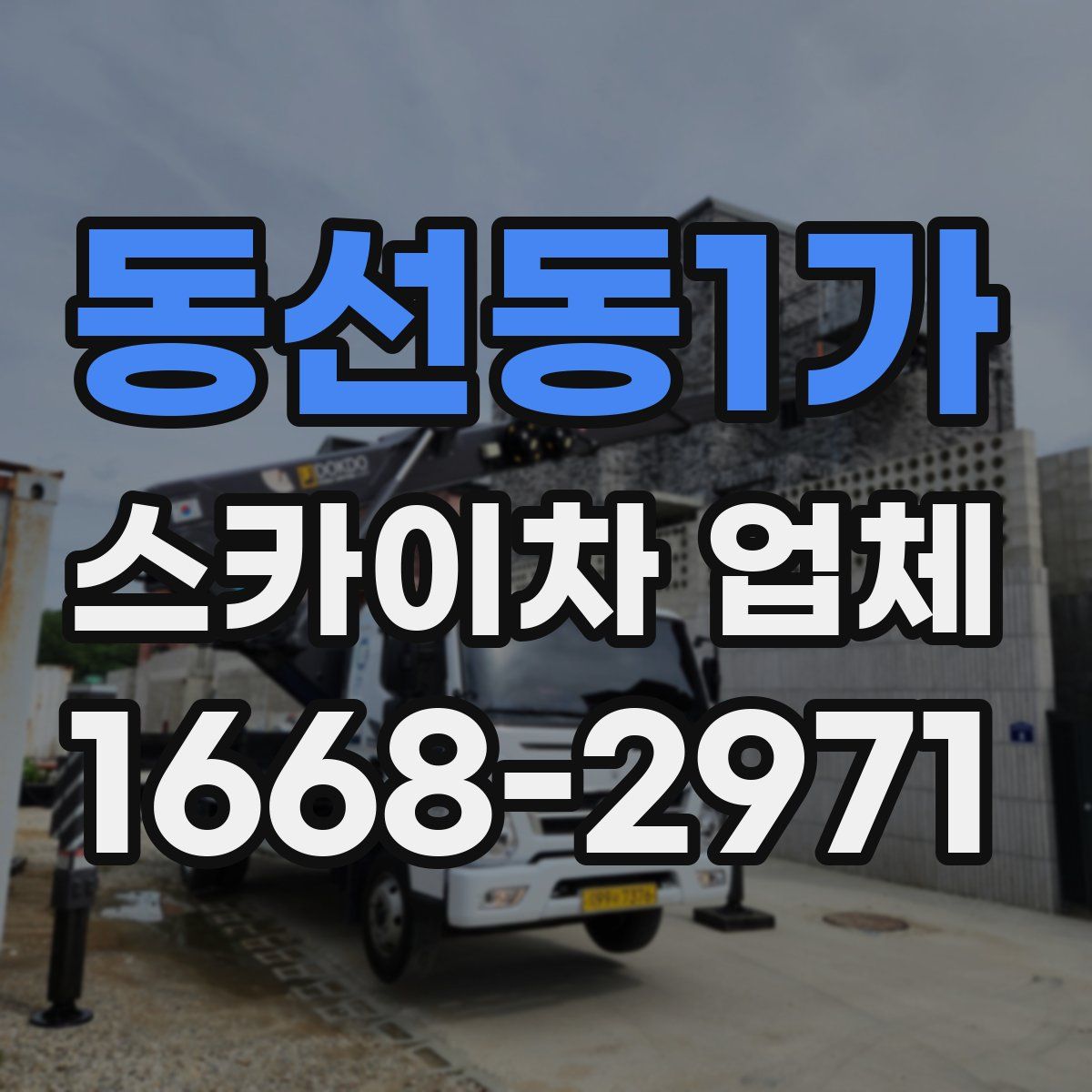동선동1가 스카이차 업체