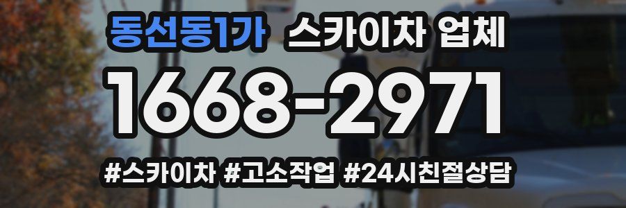 동선동1가 스카이차 업체