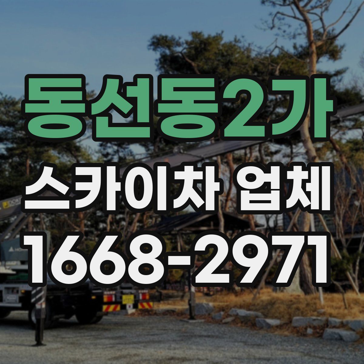 동선동2가 스카이차 업체
