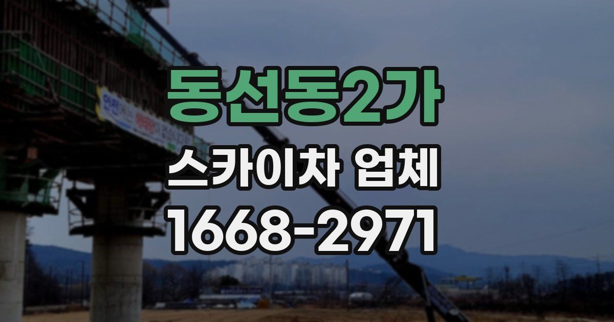 동선동2가 스카이차 업체