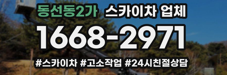 동선동2가 스카이차 업체
