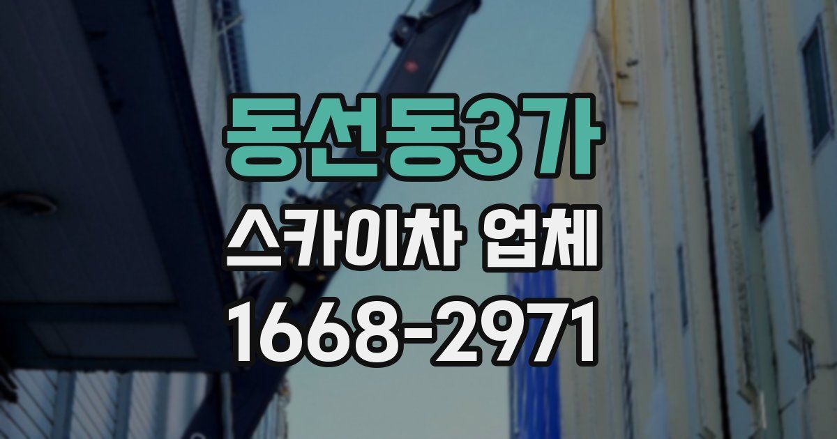 동선동3가 스카이차 업체