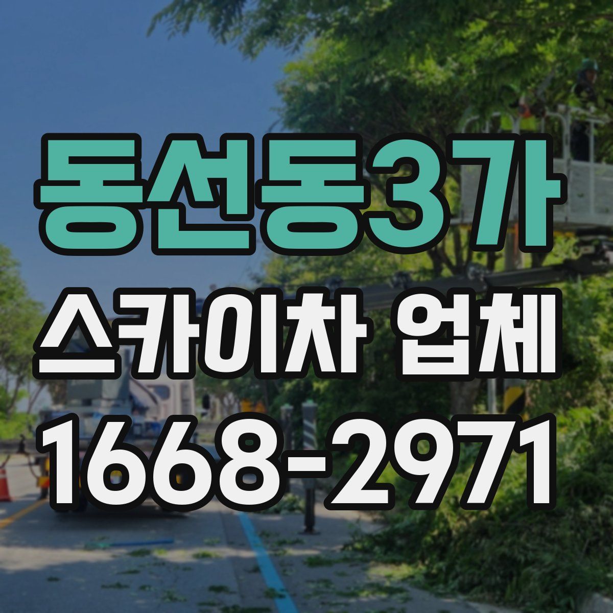 동선동3가 스카이차 업체