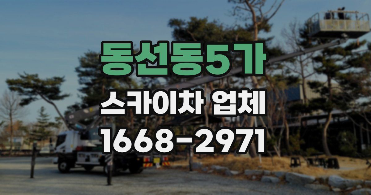 동선동5가 스카이차 업체