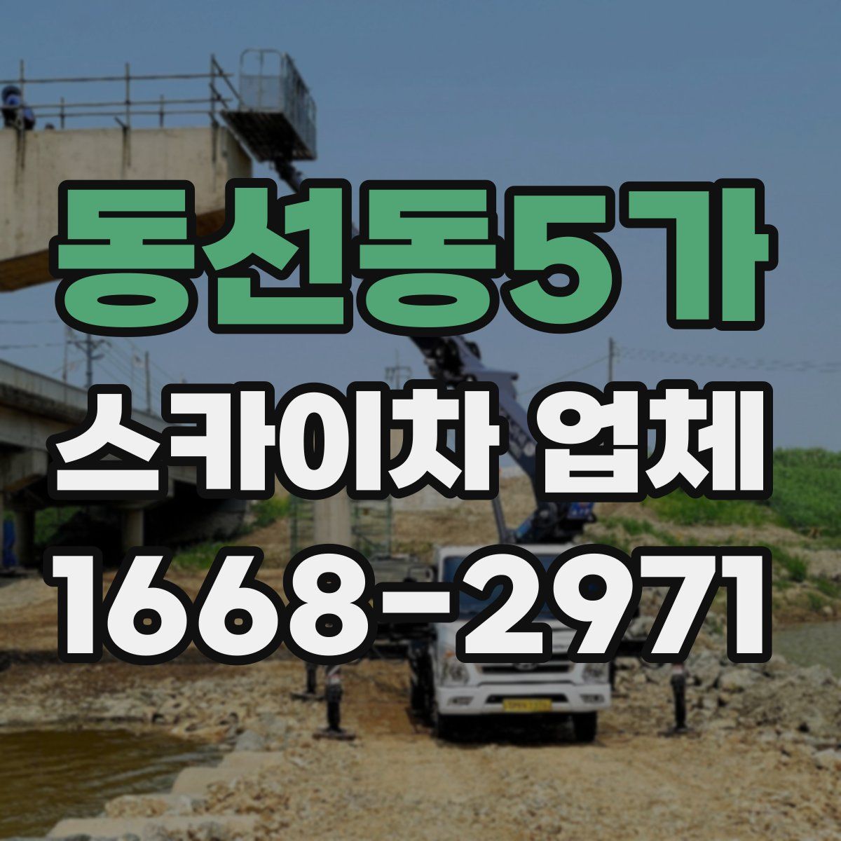 동선동5가 스카이차 업체